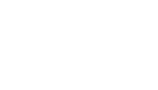 Bali Soul Wellness Logo